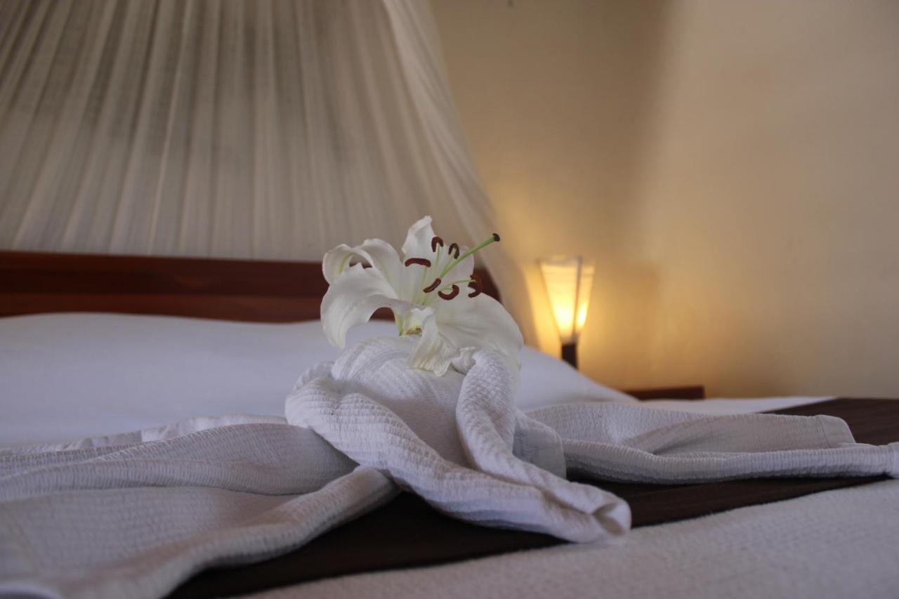 טולום Hotel Piedra Escondida מראה חיצוני תמונה